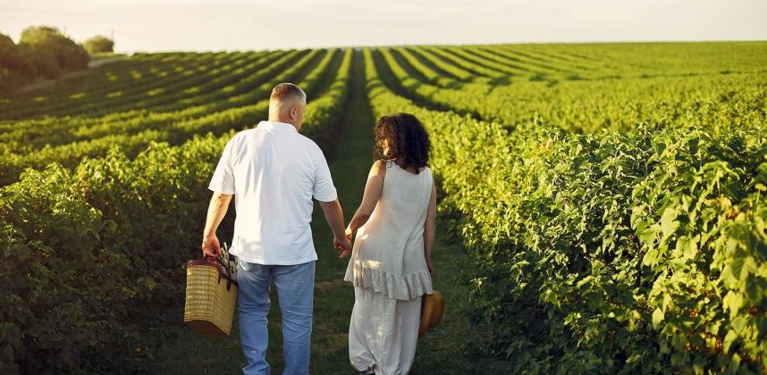 Felicidad sostenible